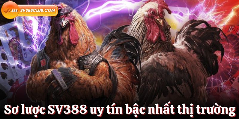 Đấu gà trực tuyến Kv99 HD - Kv99